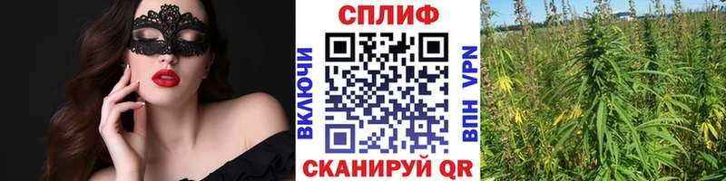 darknet клад  Сураж  Конопля MAZAR 